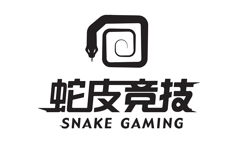 Snake Gaming 蛇皮竞技
